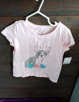 2T Shirt
