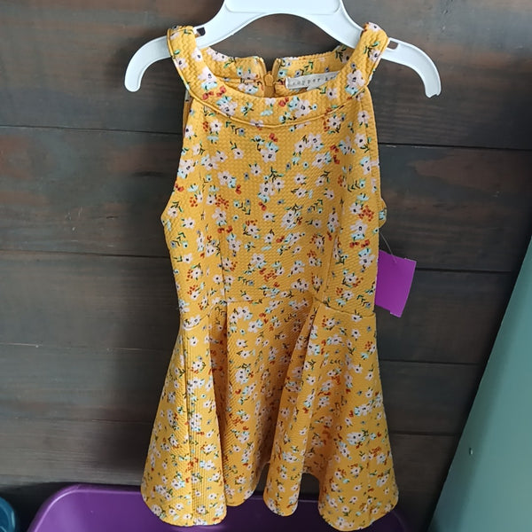 4T Dress