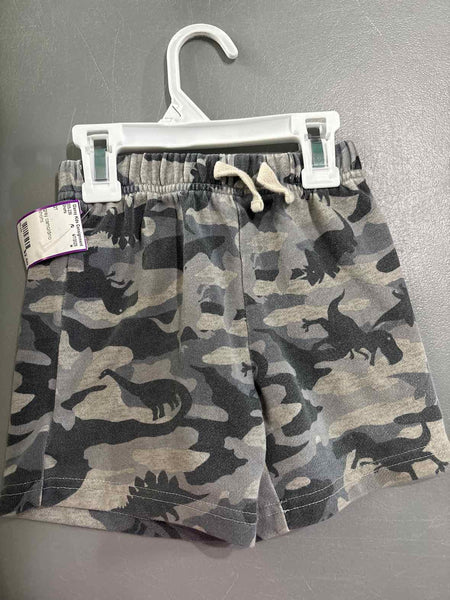 2T Shorts