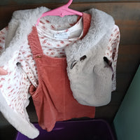 2T Dress