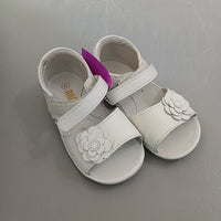 6 Shoes