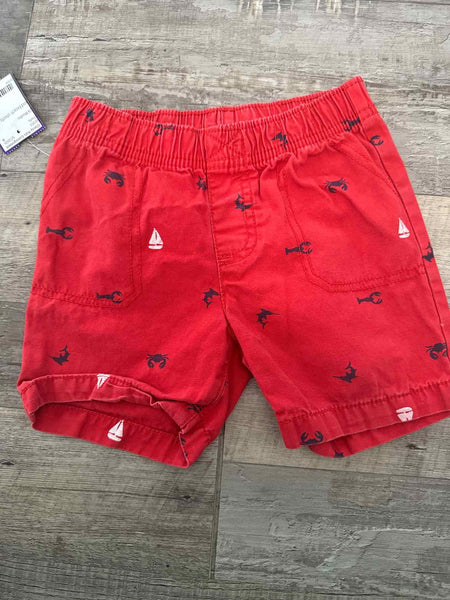 24 Months Shorts