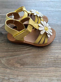 6 Shoes